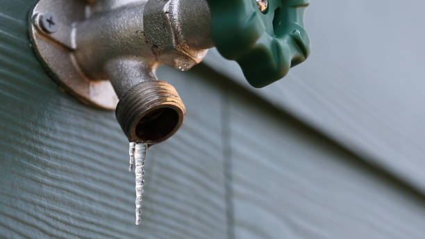 Best Local Plumber Services  in Lake Shore, WA